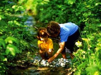 EDUCACION EN VERDE por Heike Freire en el encuentro A cañiza Natura 2015,  solos o en familia tus vacaciones en la naturaleza y desarrollo personal en Galicia