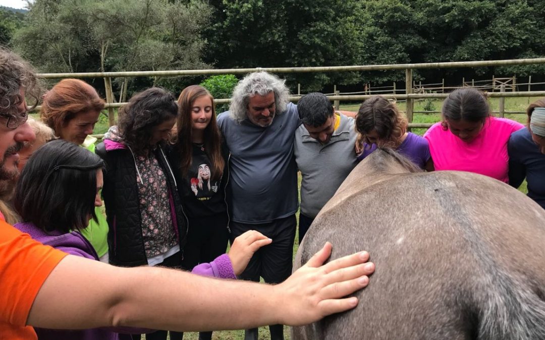 INTERACCIÓN CON CABALLOS