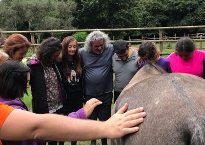 INTERACCIÓN CON CABALLOS