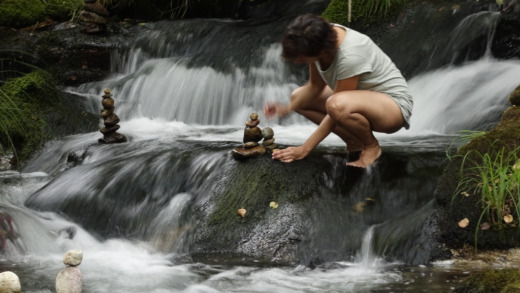 NATURALEZA, VIDA, ALEGRIA & CONVIVENCIA