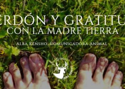 PERDON Y GRATITUD CON LA TIERRA