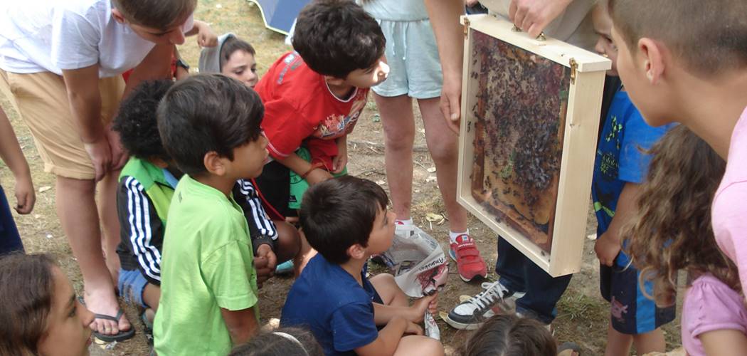 Vacaciones en familia & Naturaleza