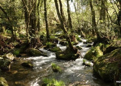 UN RÍO CON SORPRESA