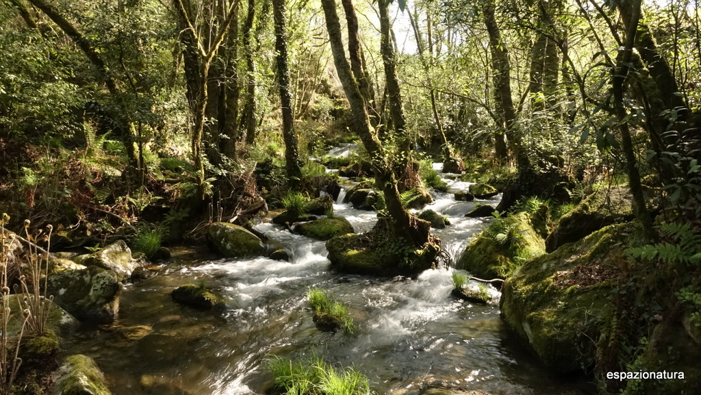 UN RÍO CON SORPRESA