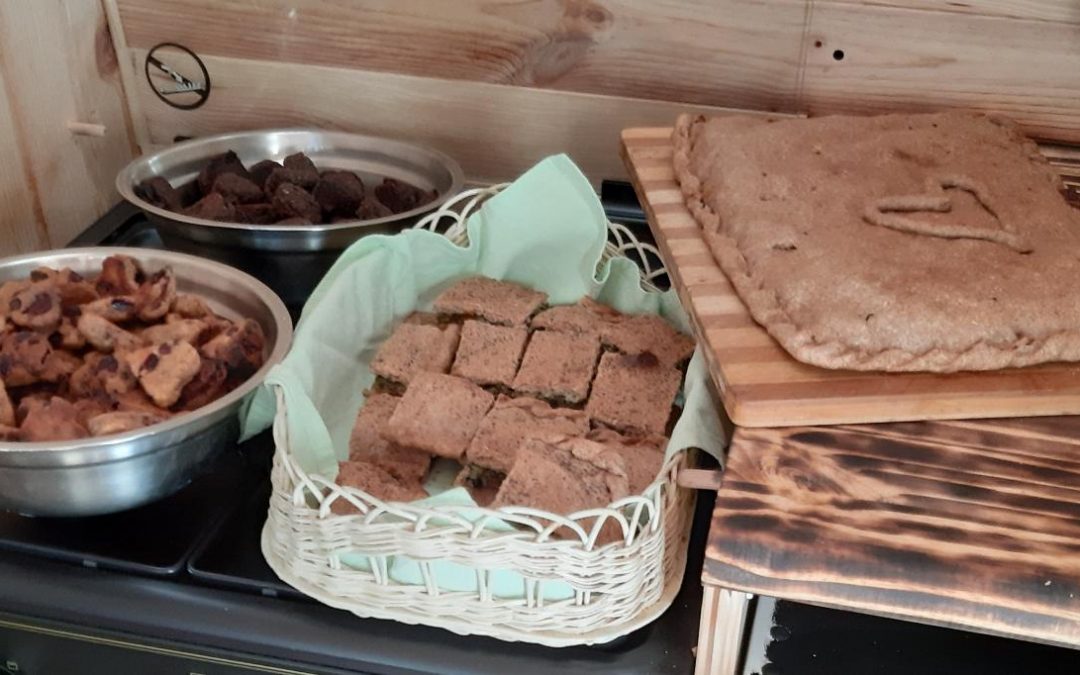 EMPANADAS VEGANAS