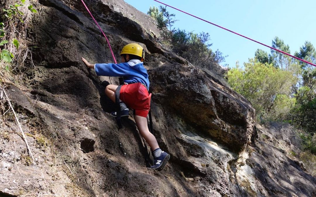 PASOS VERTICALES – MIS PRIMEROS PASOS EN ESCALADA