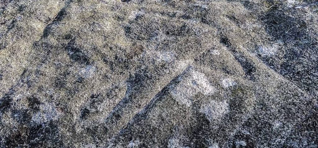 galiciamaxica_2