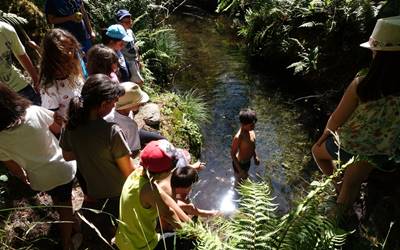 imitando a tarzan 400 250