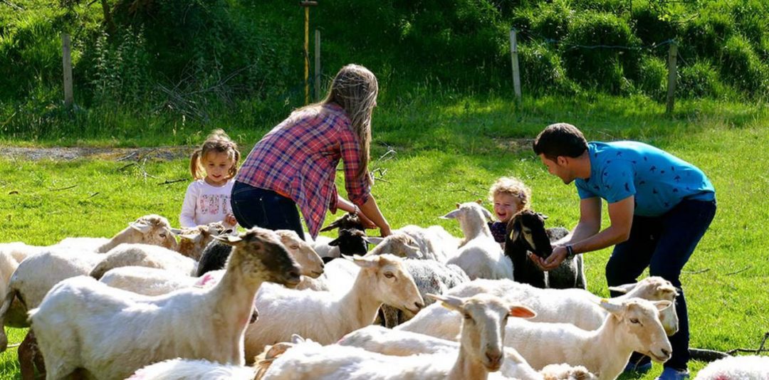 VISITA A LA GRANJA