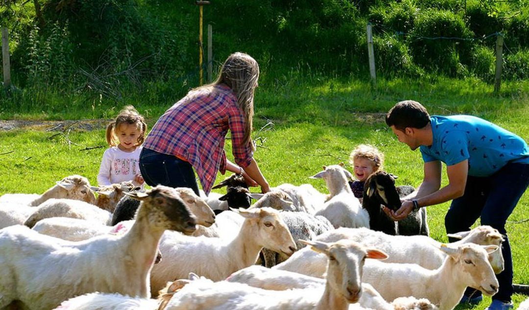 VISITA A LA GRANJA